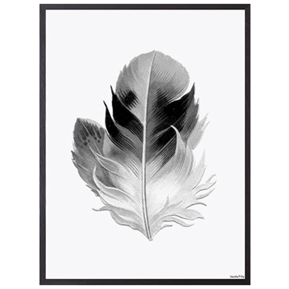 Vanilla Fly Feather Poster